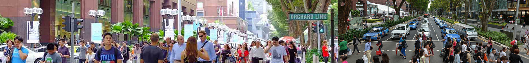 The Hyde Balmoral Road Near to Orchard Road Condo